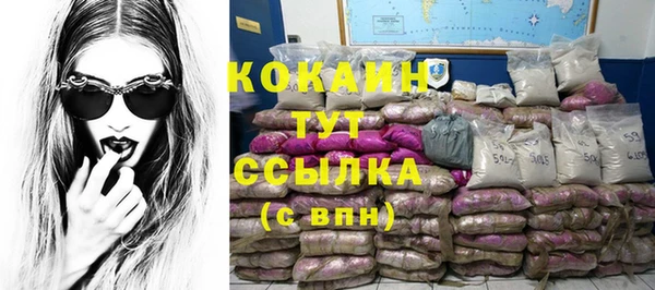 спиды Майский