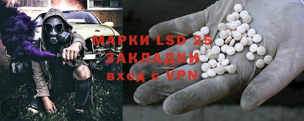 спиды Майский