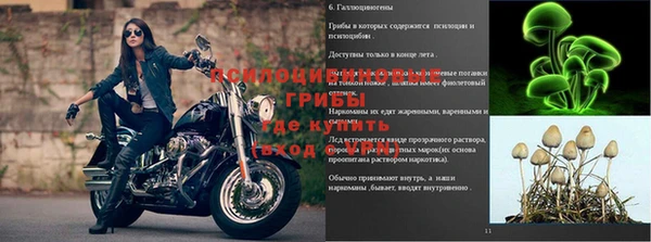 спиды Майский