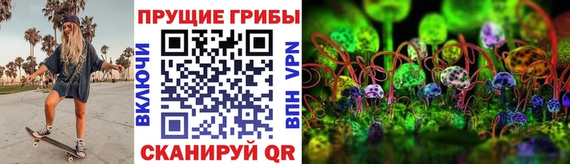 Купить закладки  Корсаков  Галлюциногенные грибы Magic Shrooms 