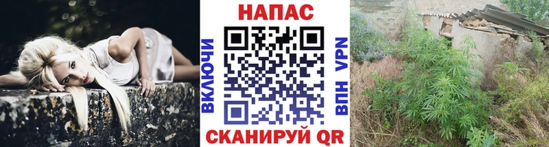 Купить  Корсаков  Бошки Шишки ГИДРОПОН 